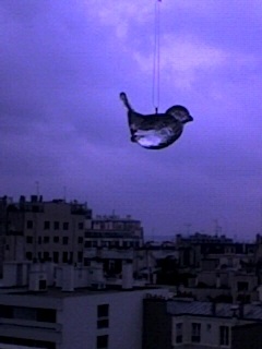 un oiseau au 95